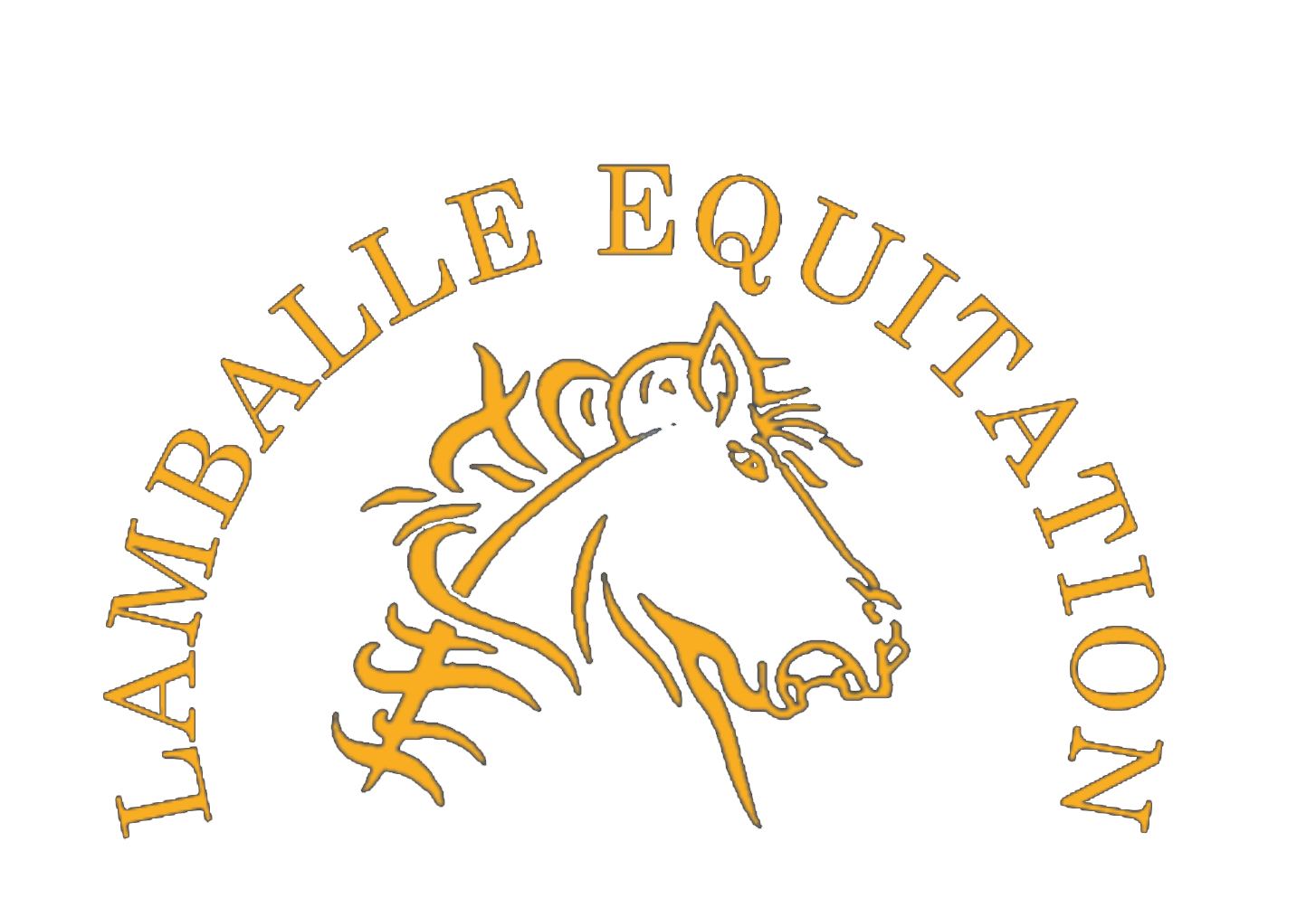 Lamballe Equitation : centre équestre à Lamballe